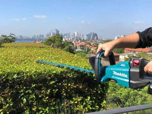 DUH501Z  Máy Tỉa Hàng Rào Dùng Pin(500mm/bl)(18v) (không Kèm Pin Sạc)
